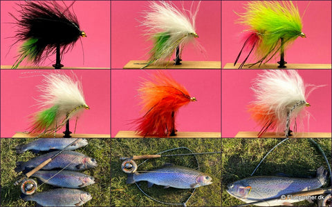 Zirkusfliege Orange/rotes Gummibein