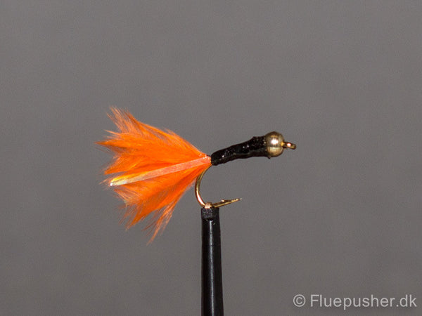 Orange tail stalking bug gh UV