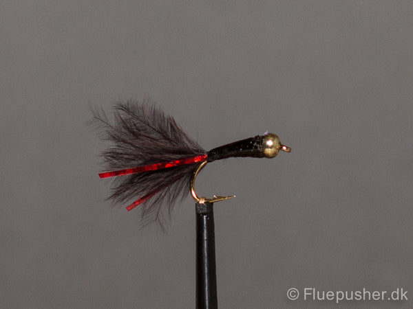 Red flash stalking  bug gh UV