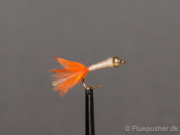 Orange flash tail stalking bug gh UV