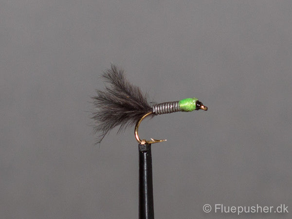 Green but stalking lead bug UV