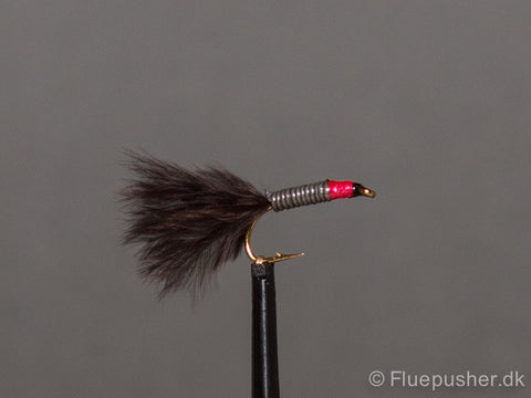 Black tail lead stalking bug UV