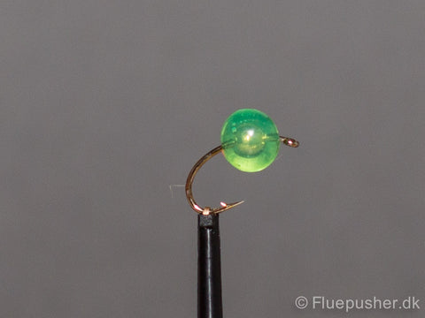 Klare grüne Rogenfliege