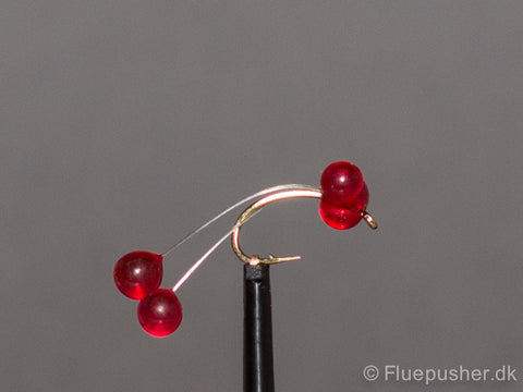 Verstreute rote Rogenfliege