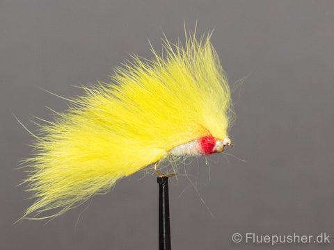 Yellow gold head zonker