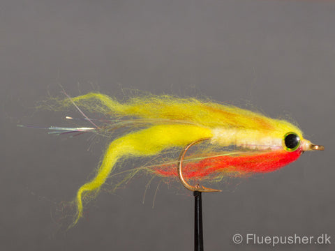 Köderfisch 1