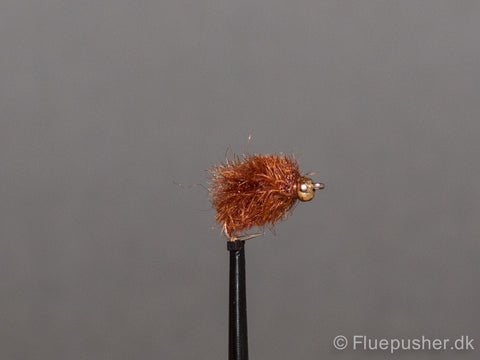 Kobberbasse variant med guldhoved