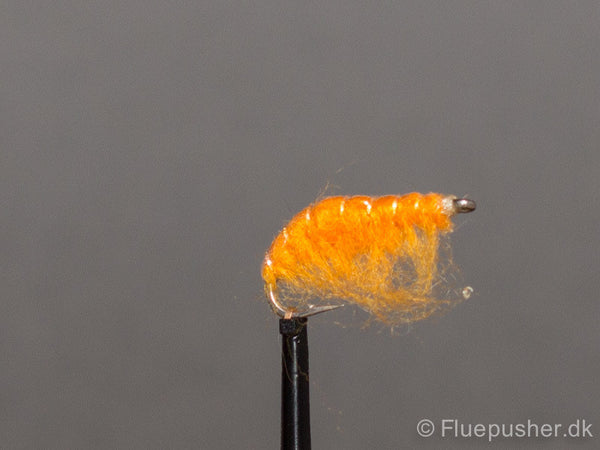 Moby Dick Yellow