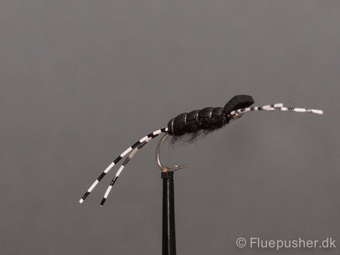 Schwarze Nachtfigur