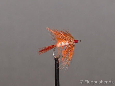 Herbstflug