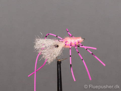 Pink legged shrimp