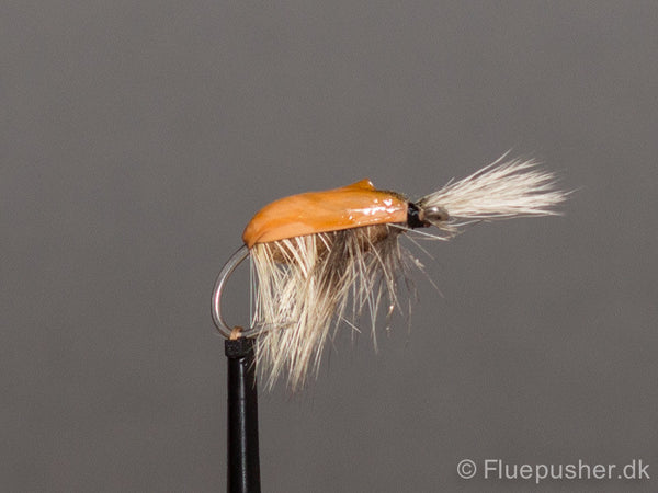 Poxy back tangloppe