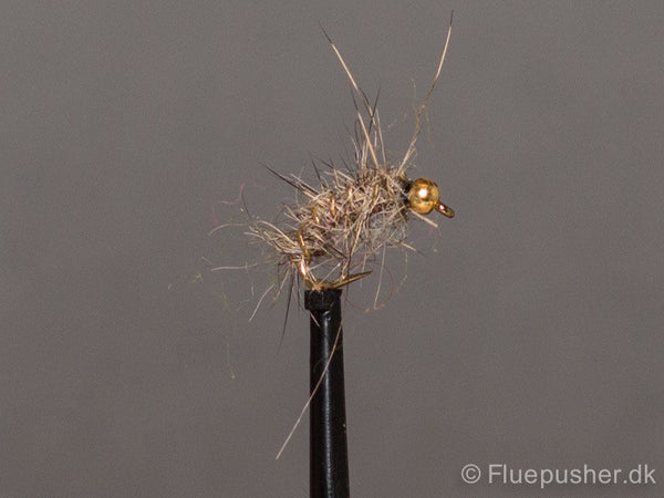 Hares Ear natural wild gh