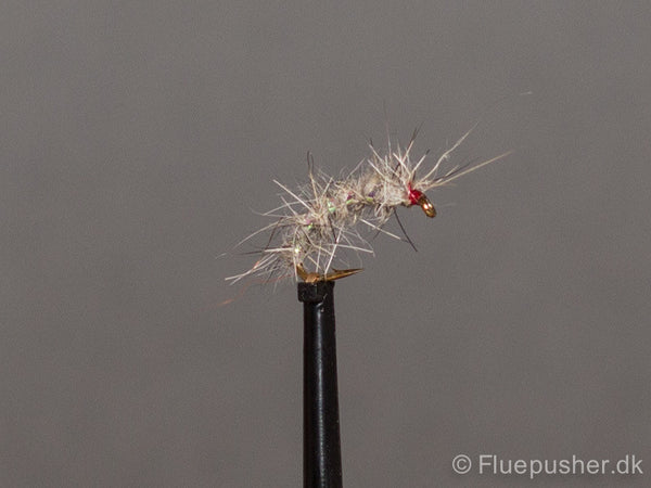 Hares Ear grizzly but