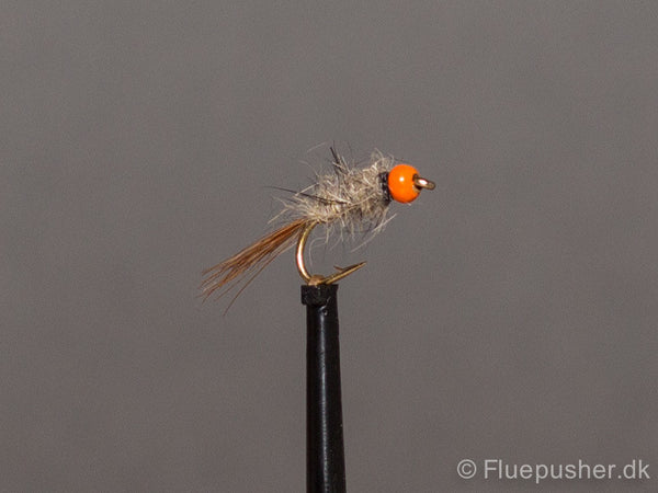 Hares Ear orange but