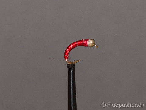 Rotes Zebra gh