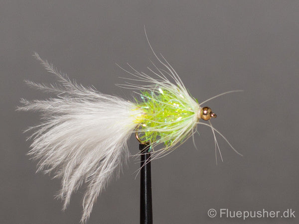Lime Tadpole gh