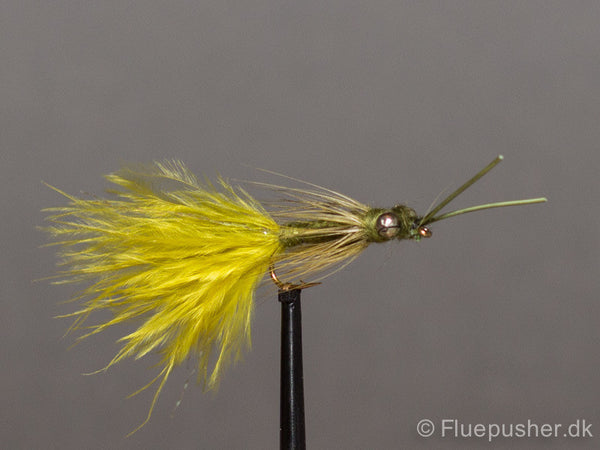 Olive kicking damsel
