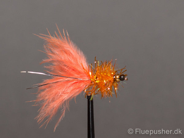 Orange warrior