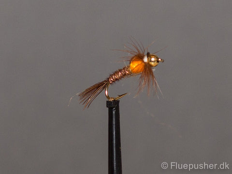 Pheasant tail orange