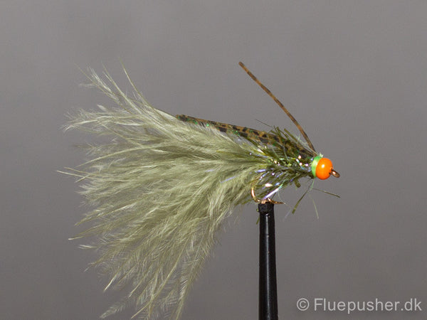 Olive  UV struggler bug