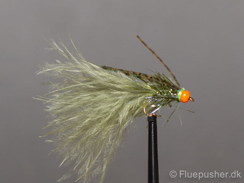 Olive  UV struggler bug