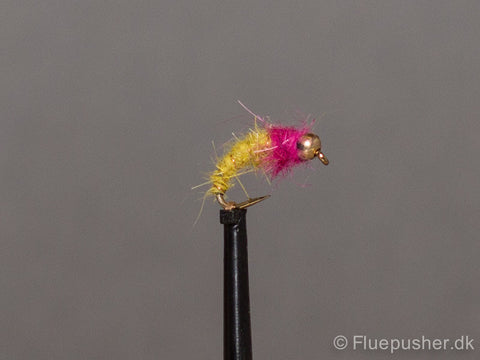 Köcherfliegenpuppe
