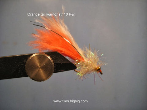 White orange tail rainbow warrior