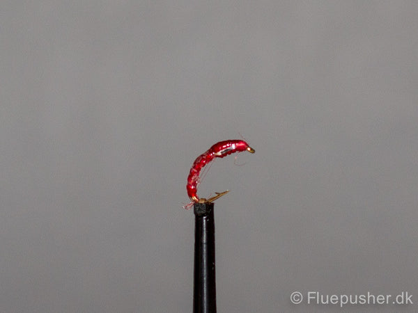 Kingfisher red floss buzzer