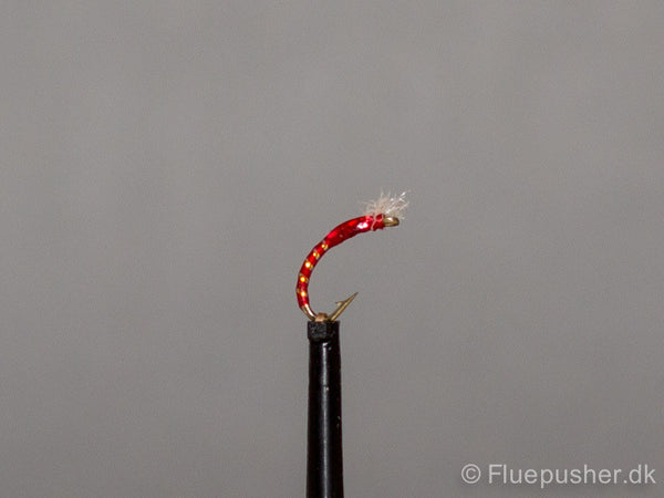 Kingfisher 3 D red buzzer