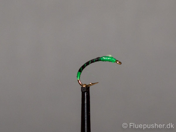 Green butt ribbed black buzzer