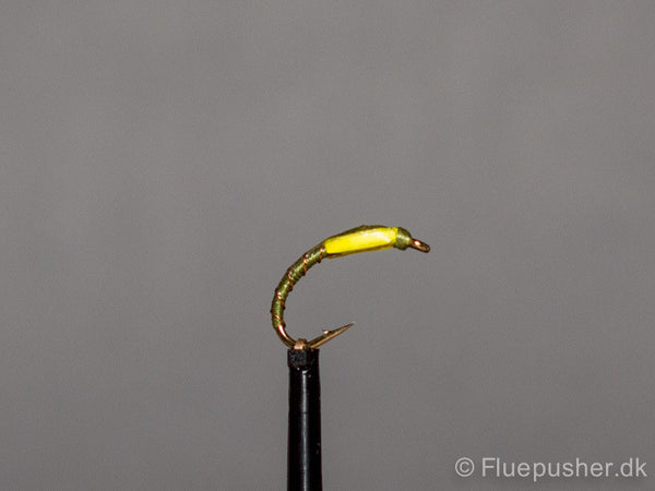 Olive copper wirerib yellow cheek buzzer