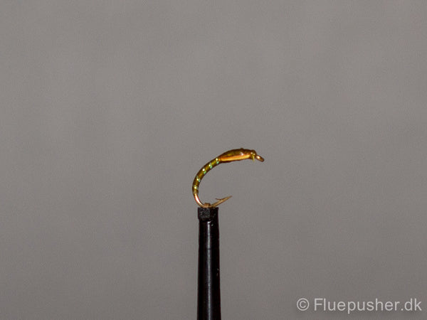 Olive epoxy buzzer