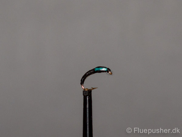 Olive copper wire rib green cheeks buzzer
