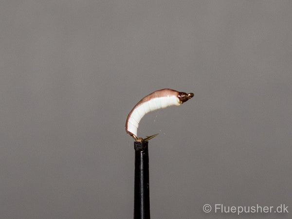 Maggot buzzer
