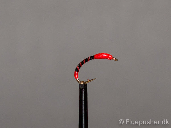 Orange butt rib thorax epoxy buzzer