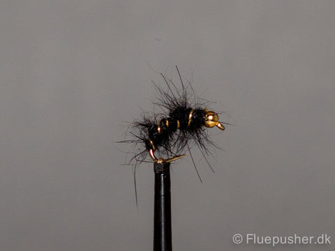 Curley Hasenohr schwarz gh