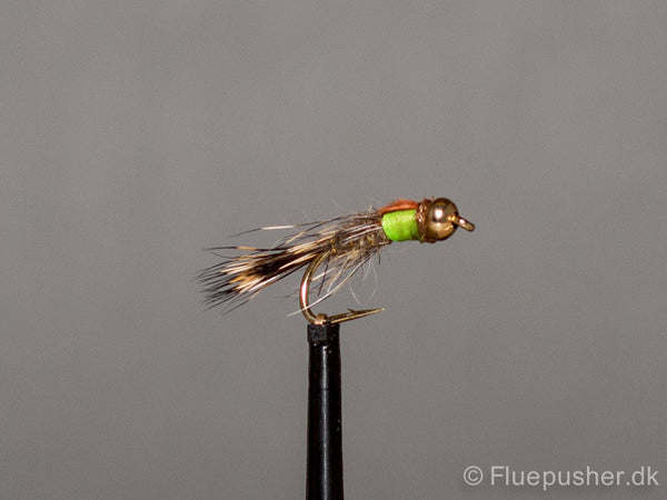 Hares ear brown wingcase gh