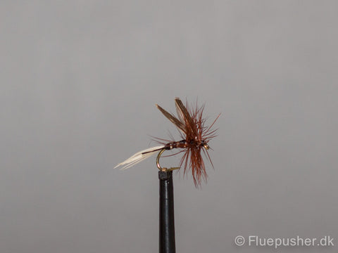 Schwarzer Spinner