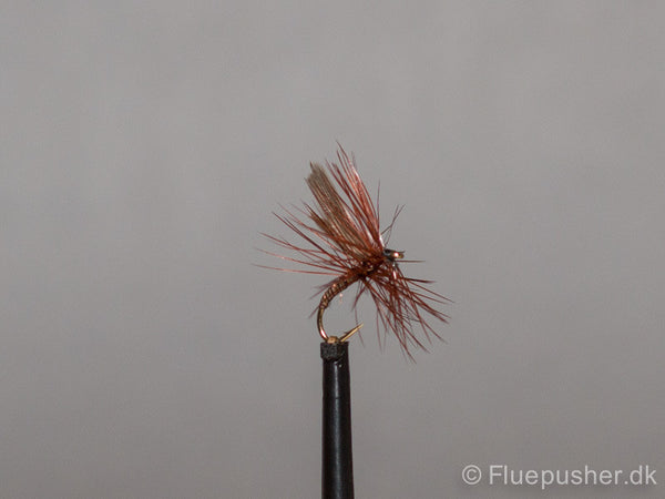 March brown