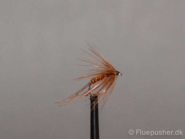 Pheasant tail