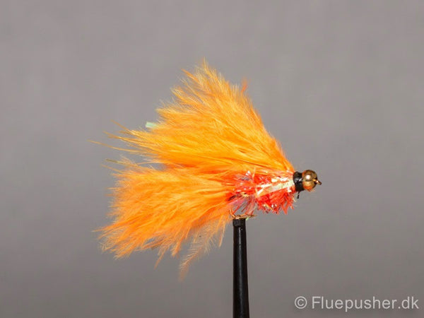 Orange Fritz cats whisker