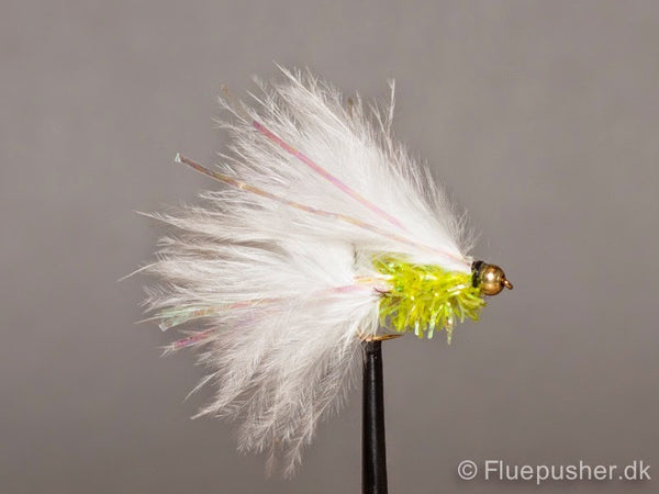 Lime Fritz cats whisker sommer