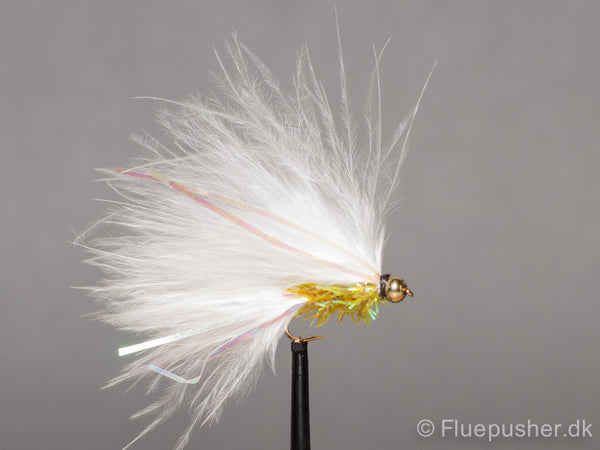 Golden Fritz cats whisker sommer