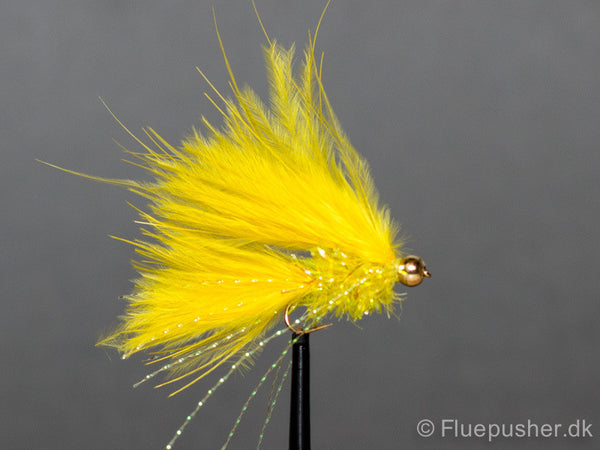 Gul idiot cats whisker deep