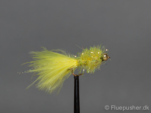 Gul idiotsikker short tail