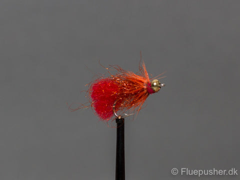 Kobberbasse red tail