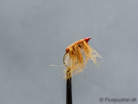 Ferkelmadenwurm