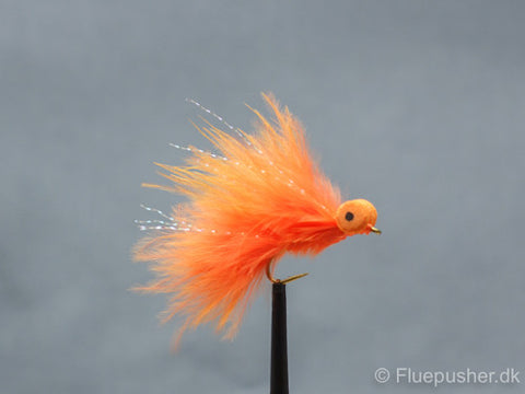 Orange cat boobie