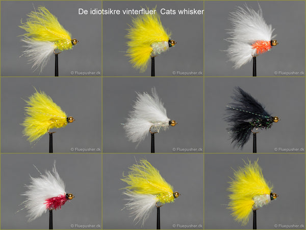 Idiotsikre Cats whiskere deep